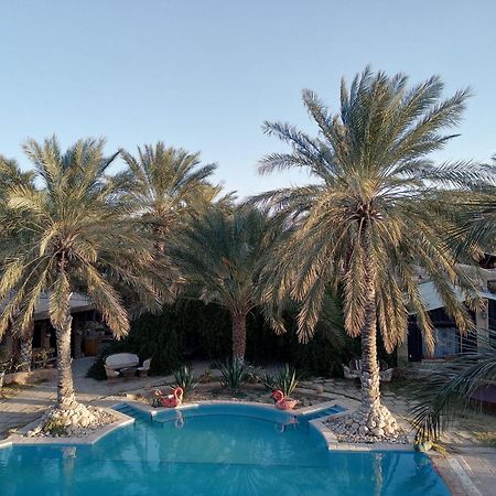 Dar Horchani توزر المظهر الخارجي الصورة