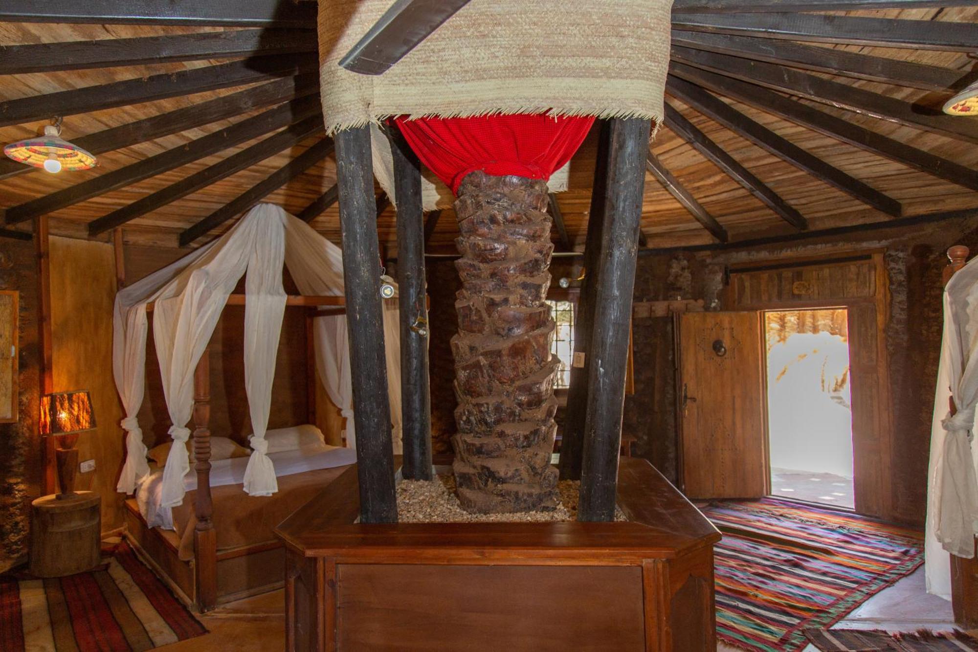 Dar Horchani توزر المظهر الخارجي الصورة