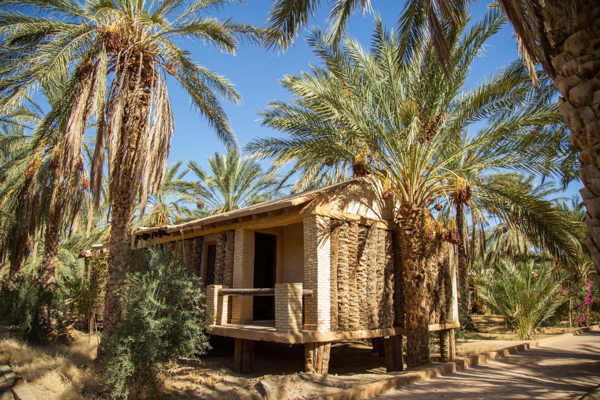 Dar Horchani توزر المظهر الخارجي الصورة