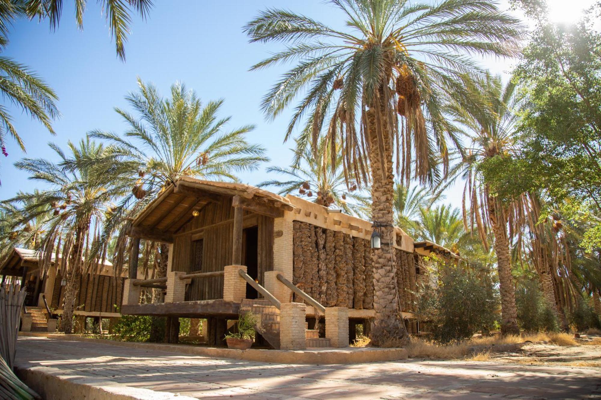Dar Horchani توزر المظهر الخارجي الصورة