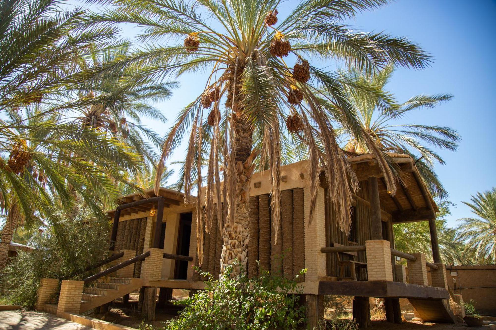 Dar Horchani توزر المظهر الخارجي الصورة