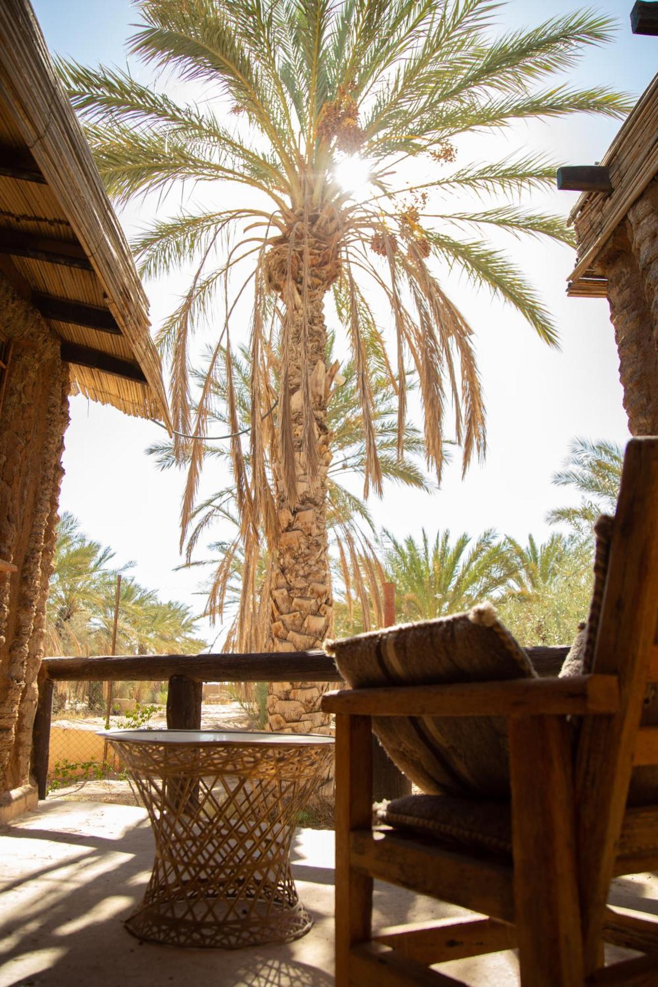 Dar Horchani توزر المظهر الخارجي الصورة