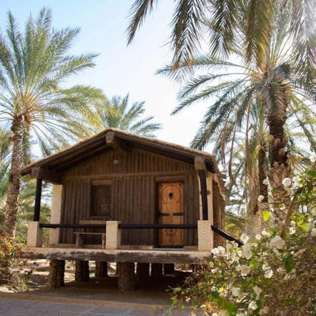 Dar Horchani توزر المظهر الخارجي الصورة