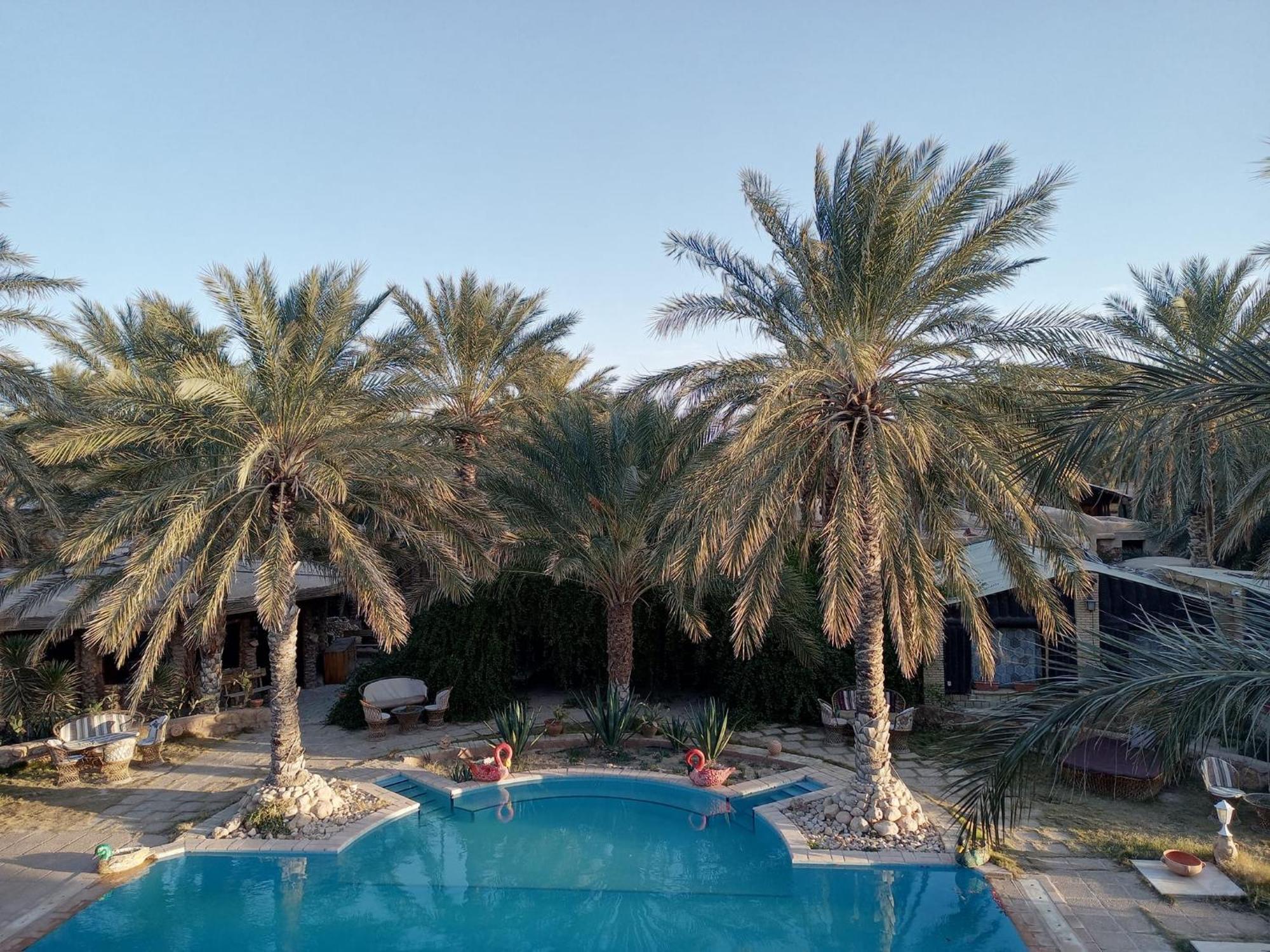 Dar Horchani توزر المظهر الخارجي الصورة