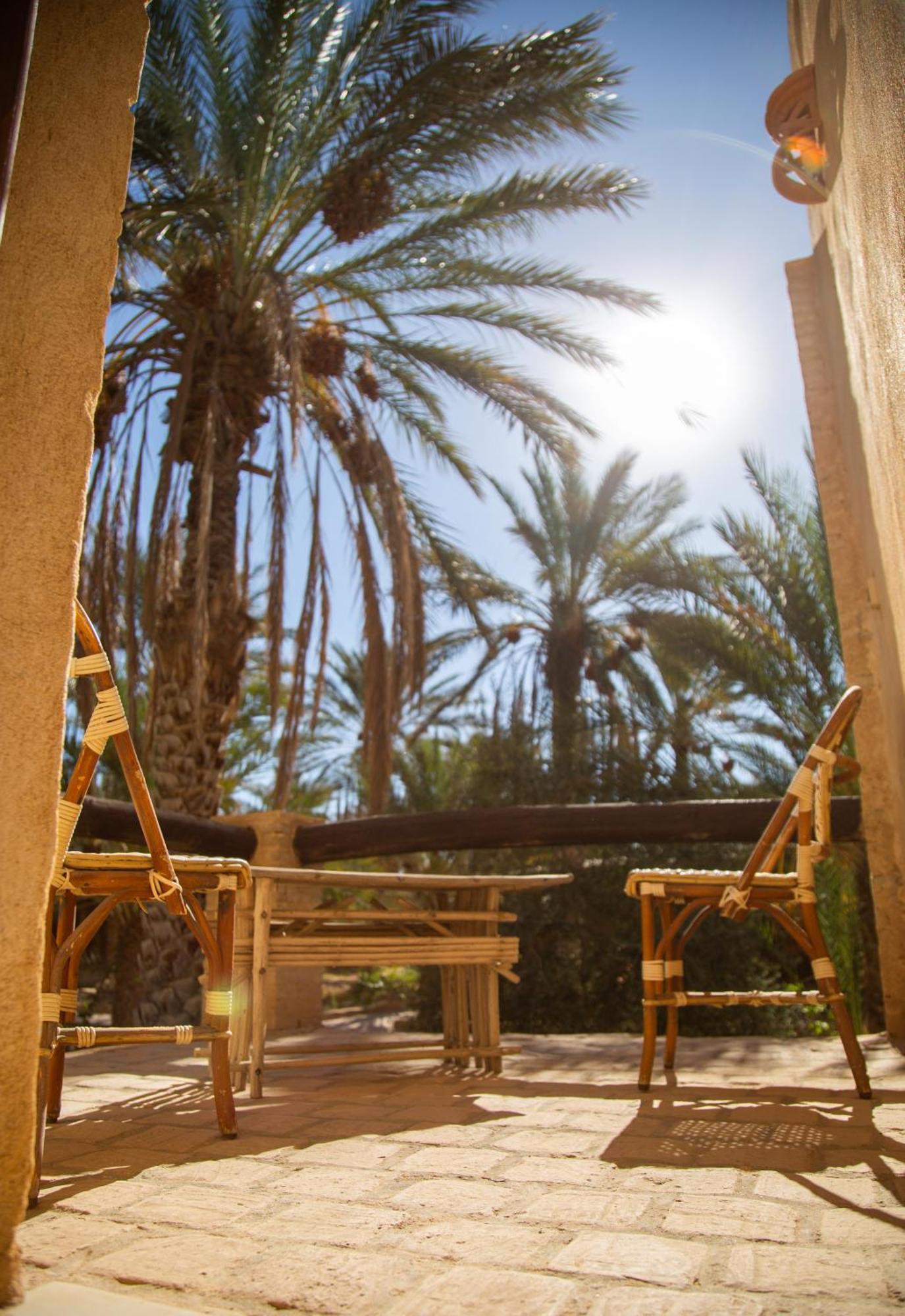 Dar Horchani توزر المظهر الخارجي الصورة