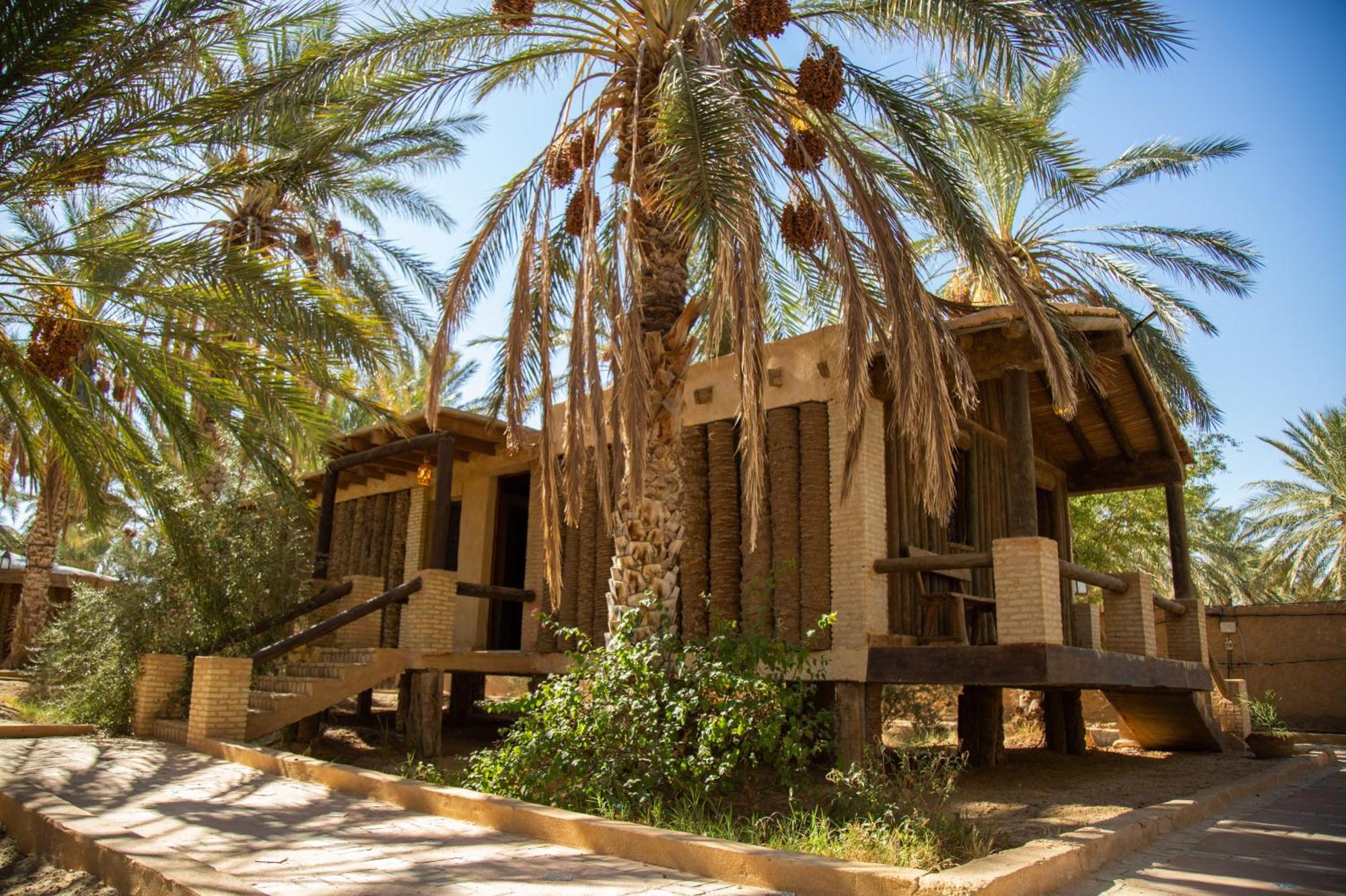 Dar Horchani توزر المظهر الخارجي الصورة